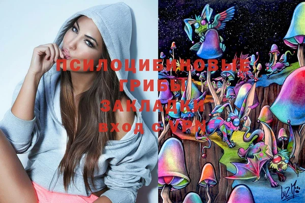 таблы Алексин