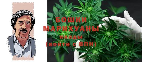 молекула духа Алексеевка