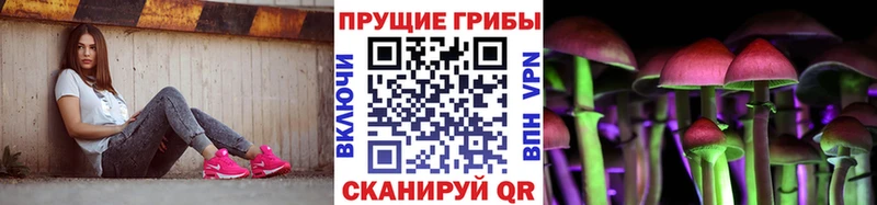 где купить наркоту  Кыштым  Галлюциногенные грибы GOLDEN TEACHER 